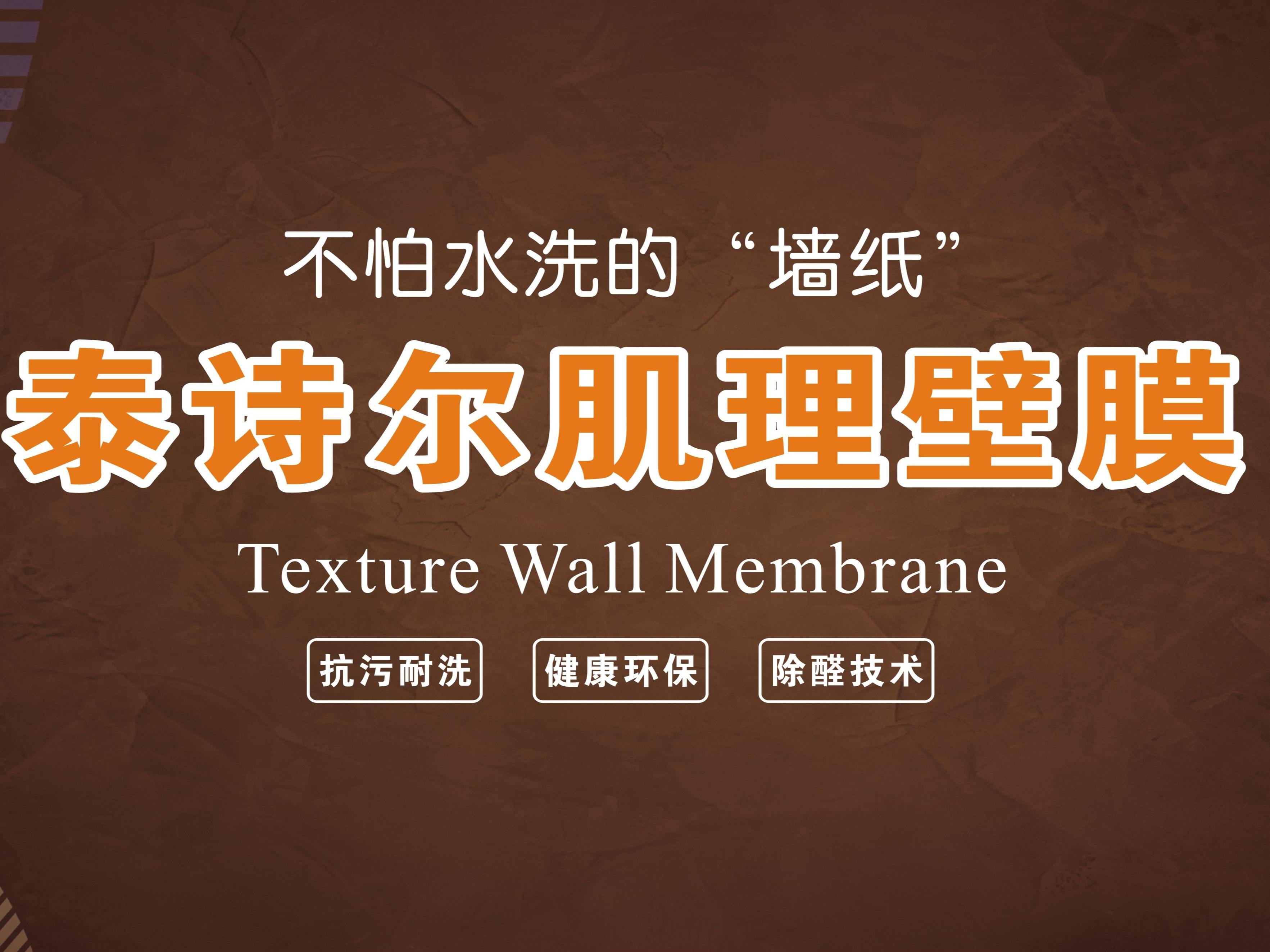 泰诗尔肌理壁膜加盟
