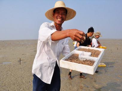 生活服务生鲜果蔬沙虫养殖所属公司:昌宁胜达爬沙虫养殖开发有限公司