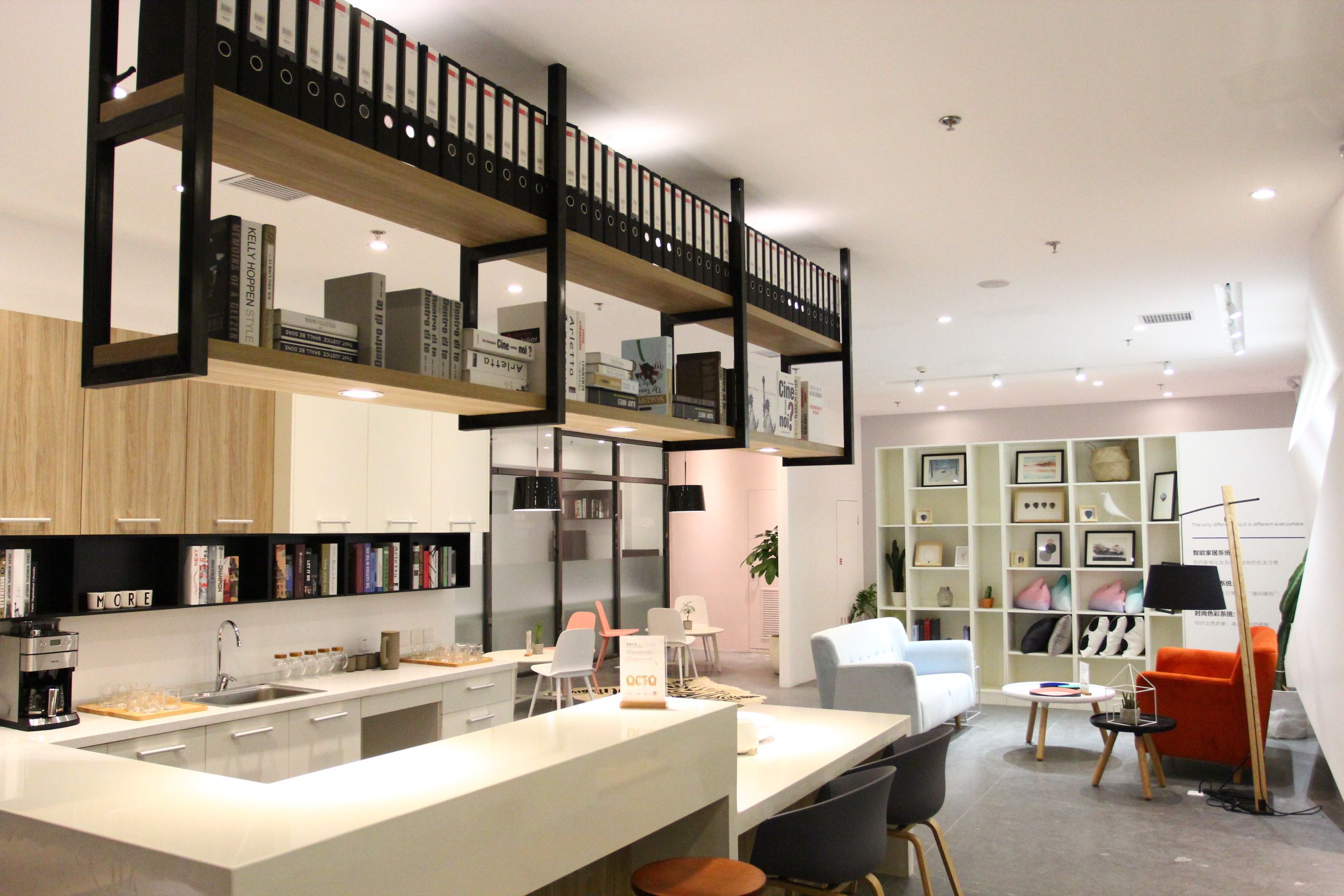 猫舍投资需要多少钱