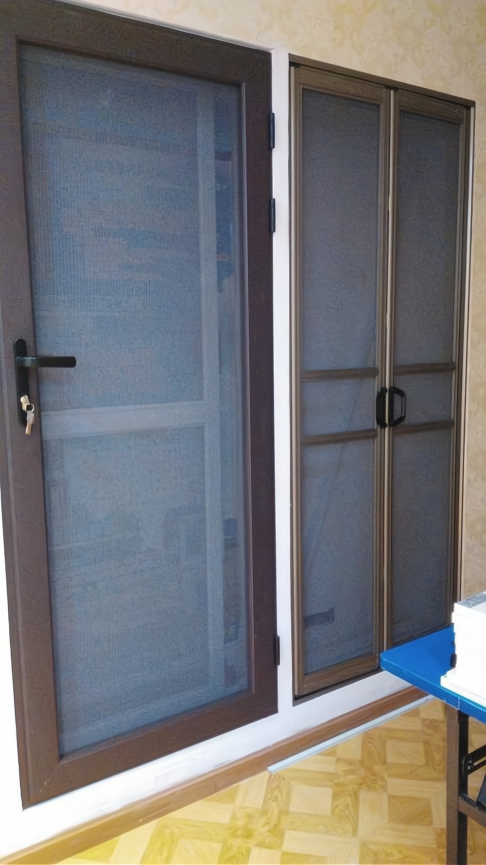 天蓝蓝隐形纱窗门