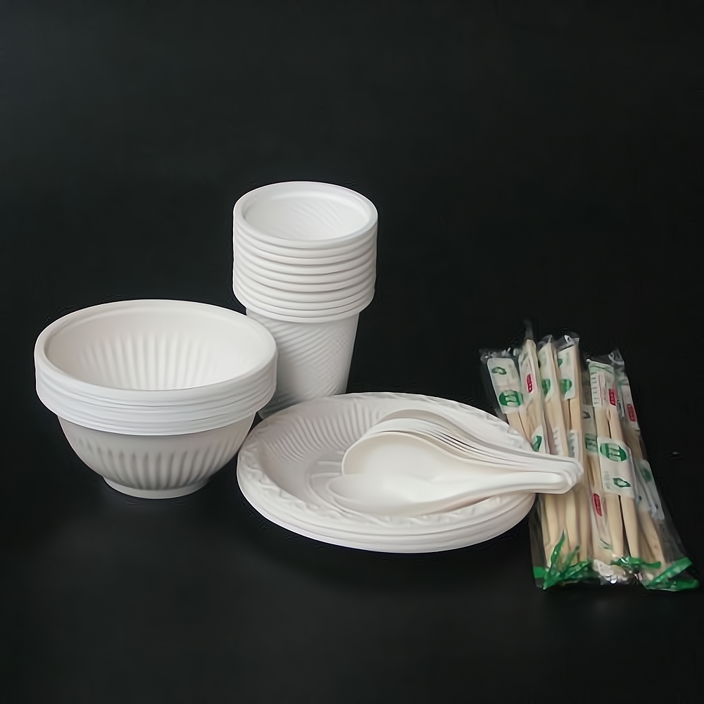 莱斯康一次性餐具