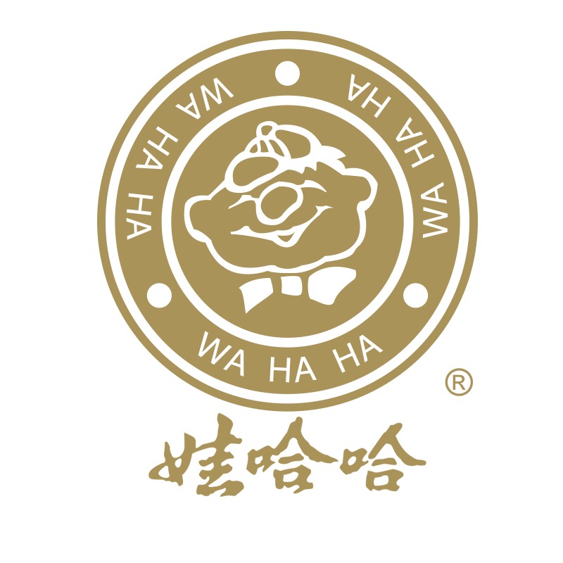 娃哈哈logo标志含义图片