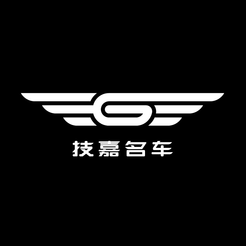 技嘉名车洗车车美