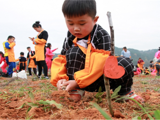 萌芽幼儿园