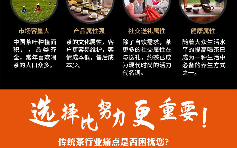 束氏茶界