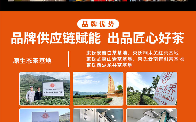 束氏茶界