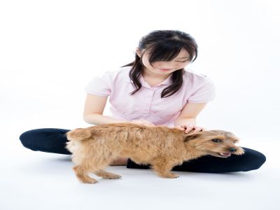 恩宠堂加盟_恩宠堂怎么加盟_恩宠堂加盟费19.1万起