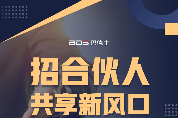 巴德士仿石艺术漆
