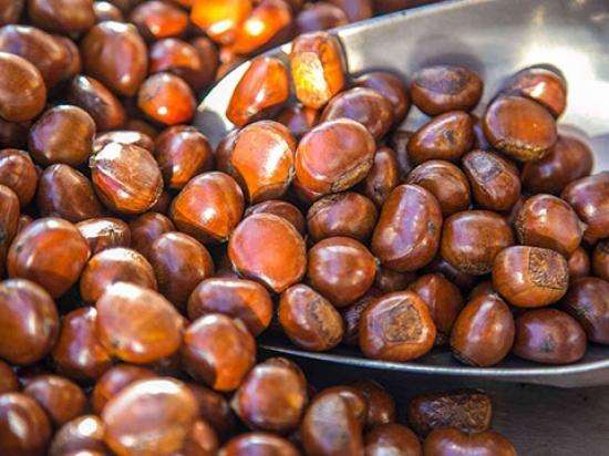 海南四川贵州云南西藏重庆陕西甘肃青海宁夏新疆台湾香港澳门福印板栗