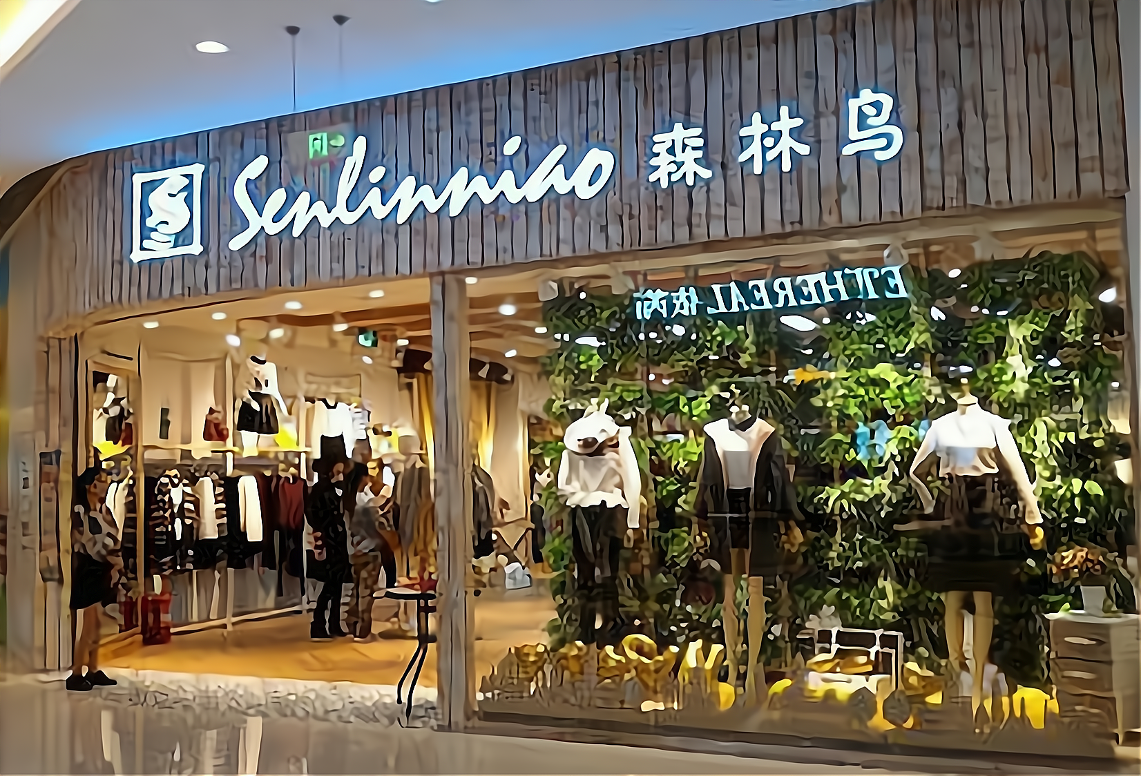 加盟森林鸟女装怎么样加盟费多少需要什么条件